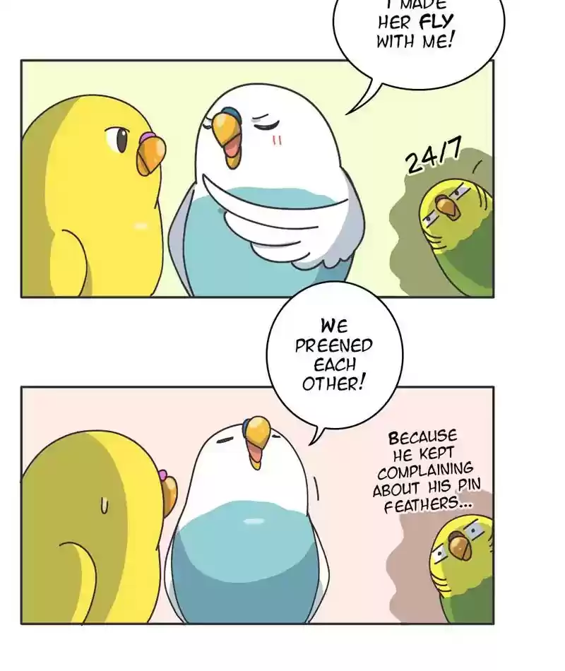 A Budgie's Life Chapter 301: Ep.300: