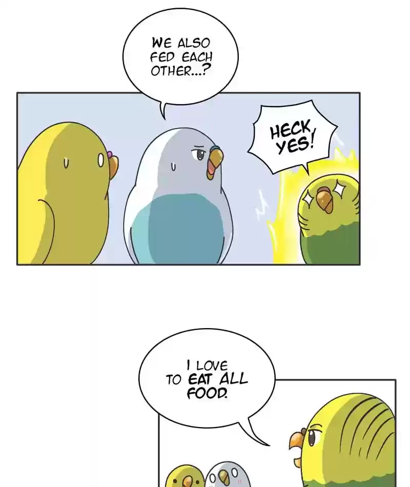 A Budgie's Life Chapter 301: Ep.300: