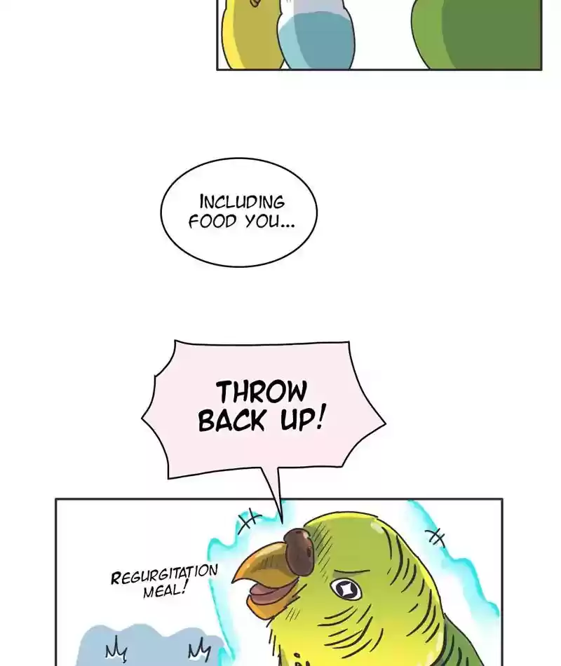 A Budgie's Life Chapter 301: Ep.300: