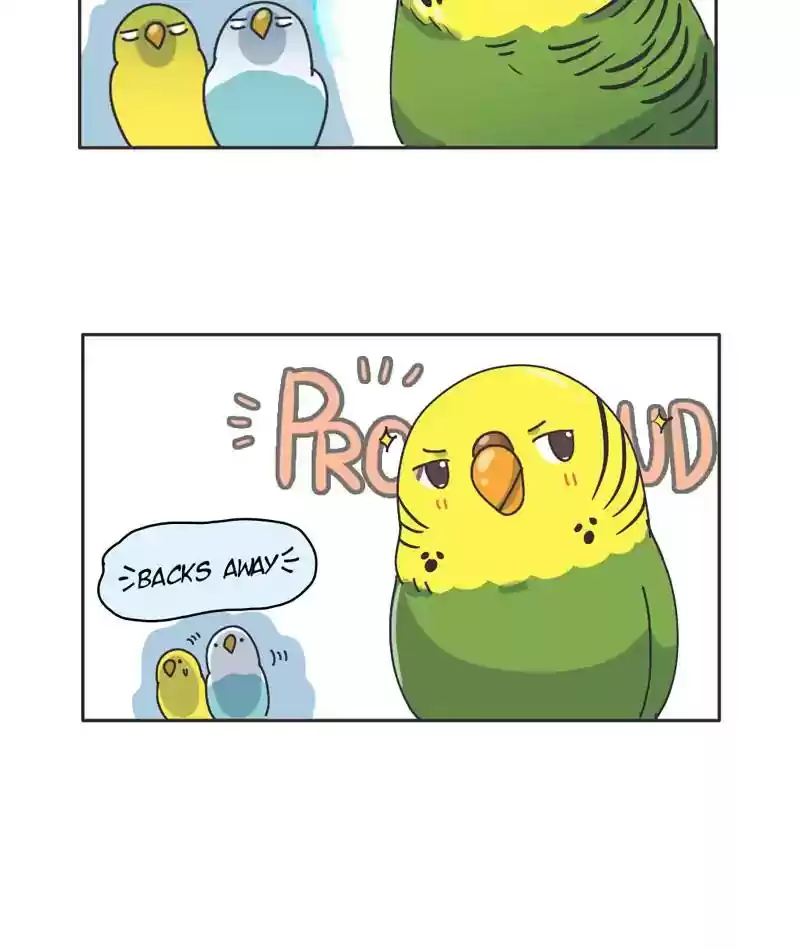 A Budgie's Life Chapter 301: Ep.300: