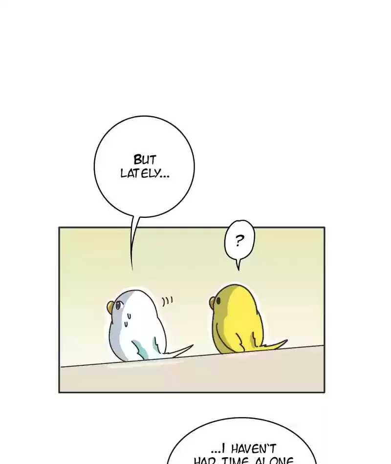 A Budgie's Life Chapter 301: Ep.300: