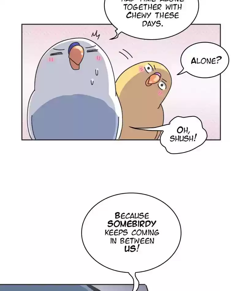 A Budgie's Life Chapter 301: Ep.300: