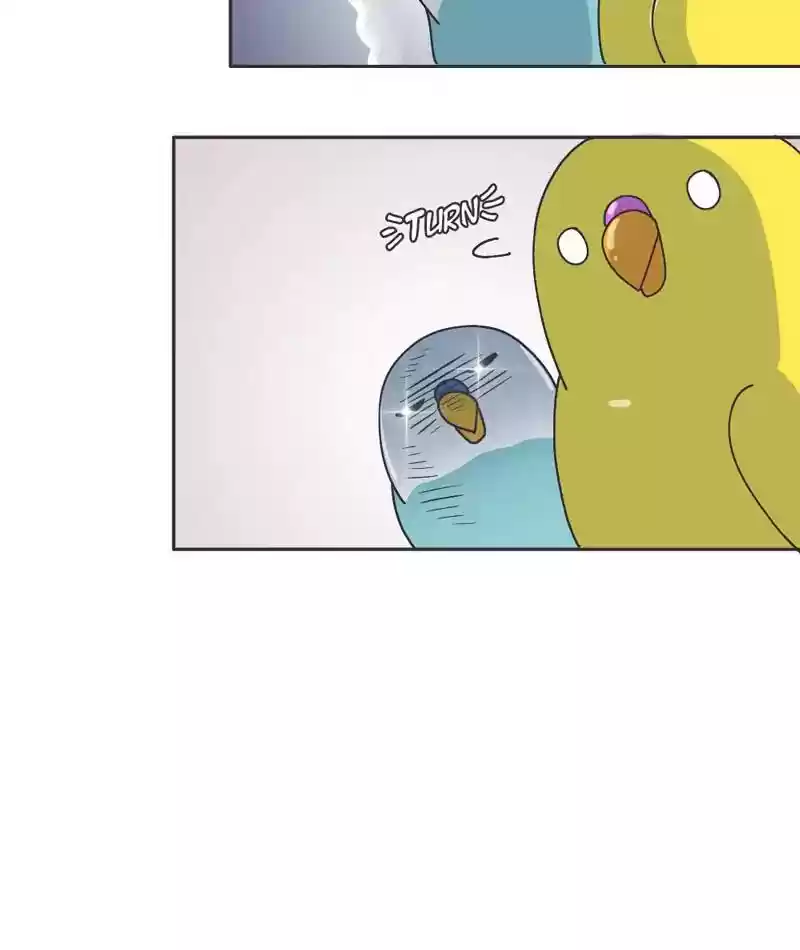 A Budgie's Life Chapter 301: Ep.300: