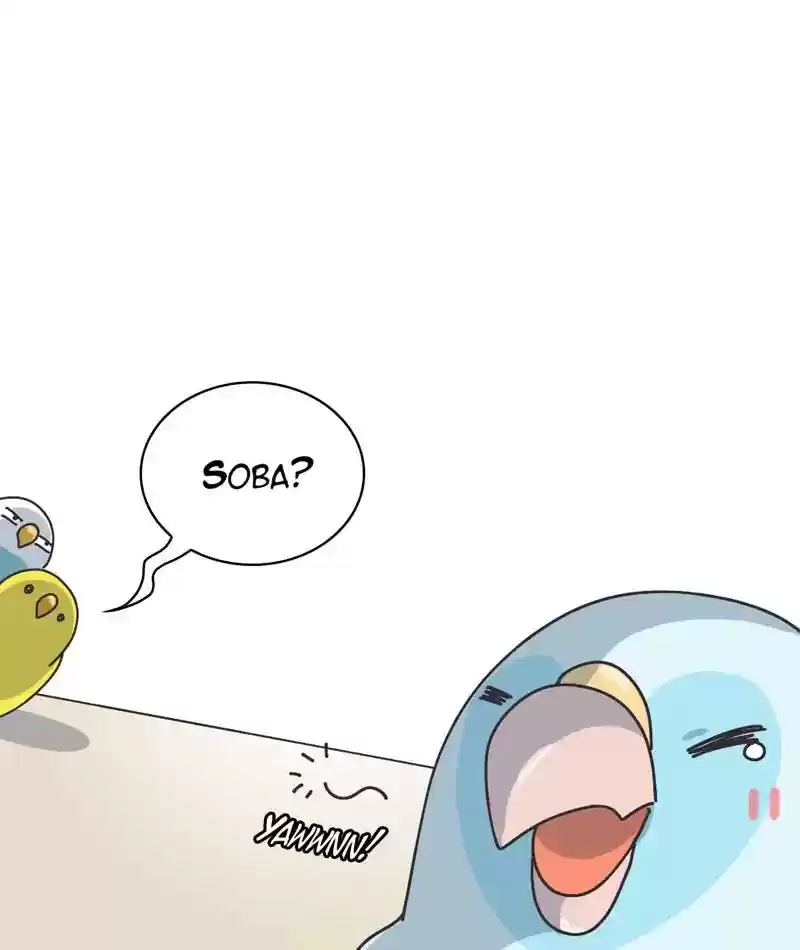 A Budgie's Life Chapter 301: Ep.300: