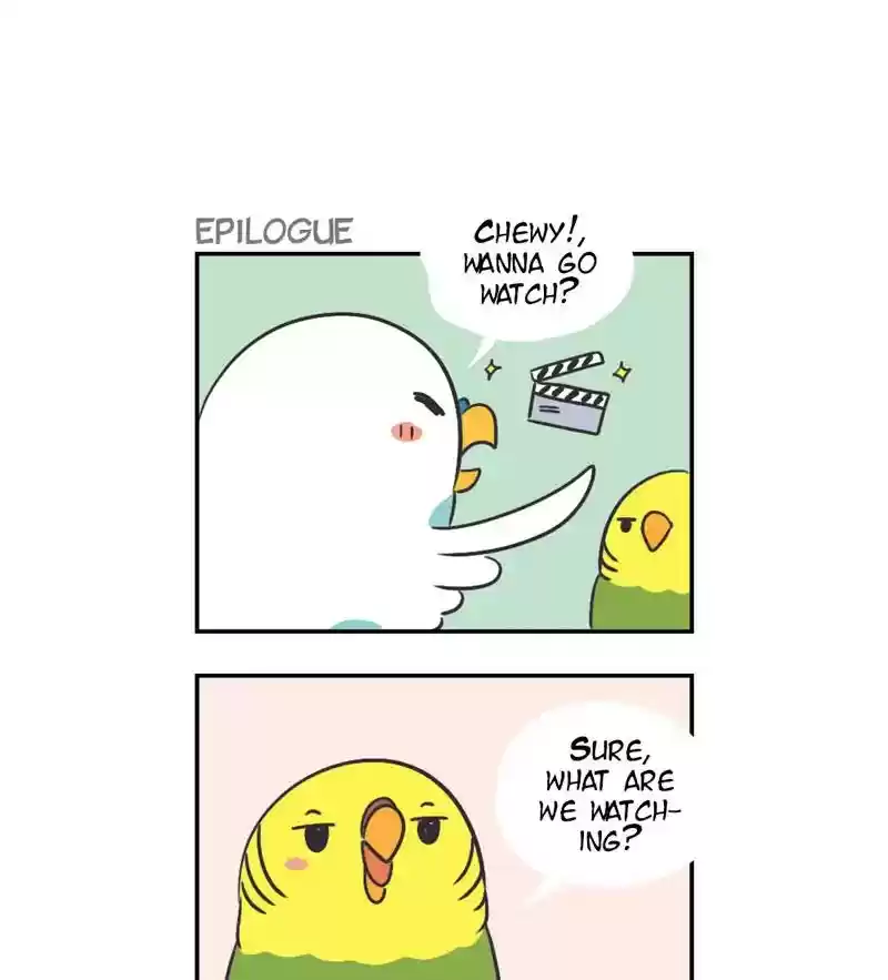 A Budgie's Life Chapter 301: Ep.300:
