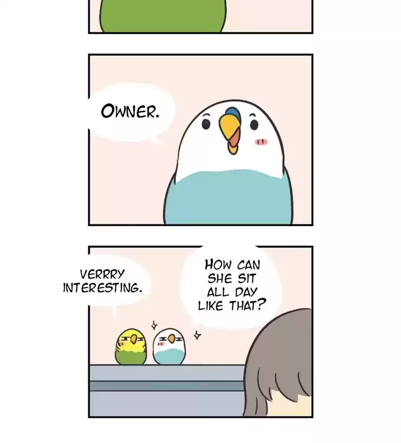 A Budgie's Life Chapter 301: Ep.300: