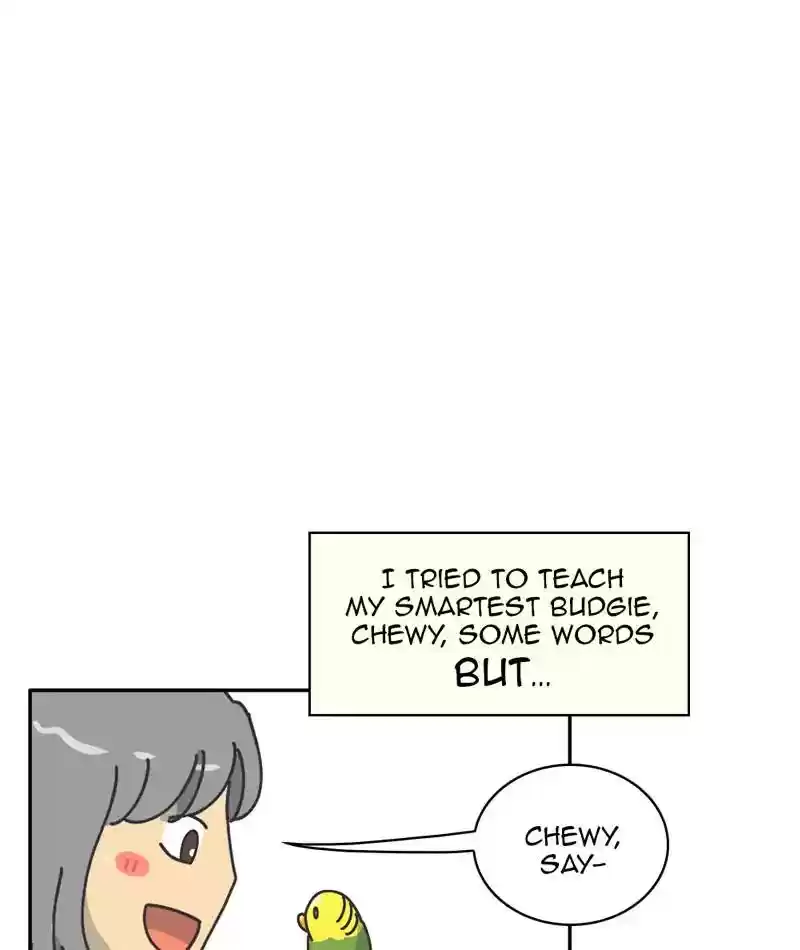A Budgie's Life Chapter 302: Ep.301: