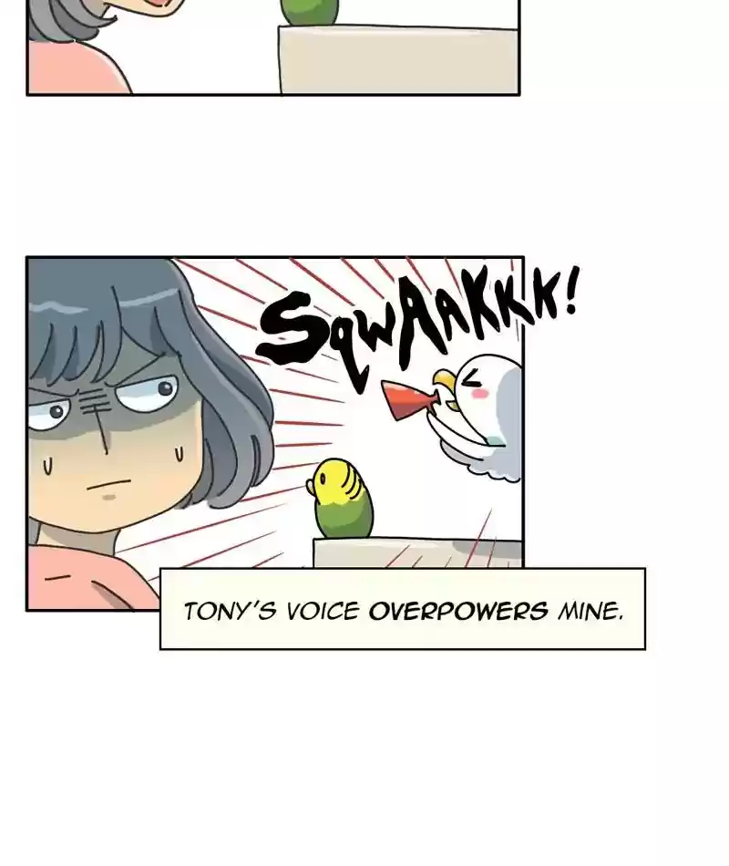 A Budgie's Life Chapter 302: Ep.301: