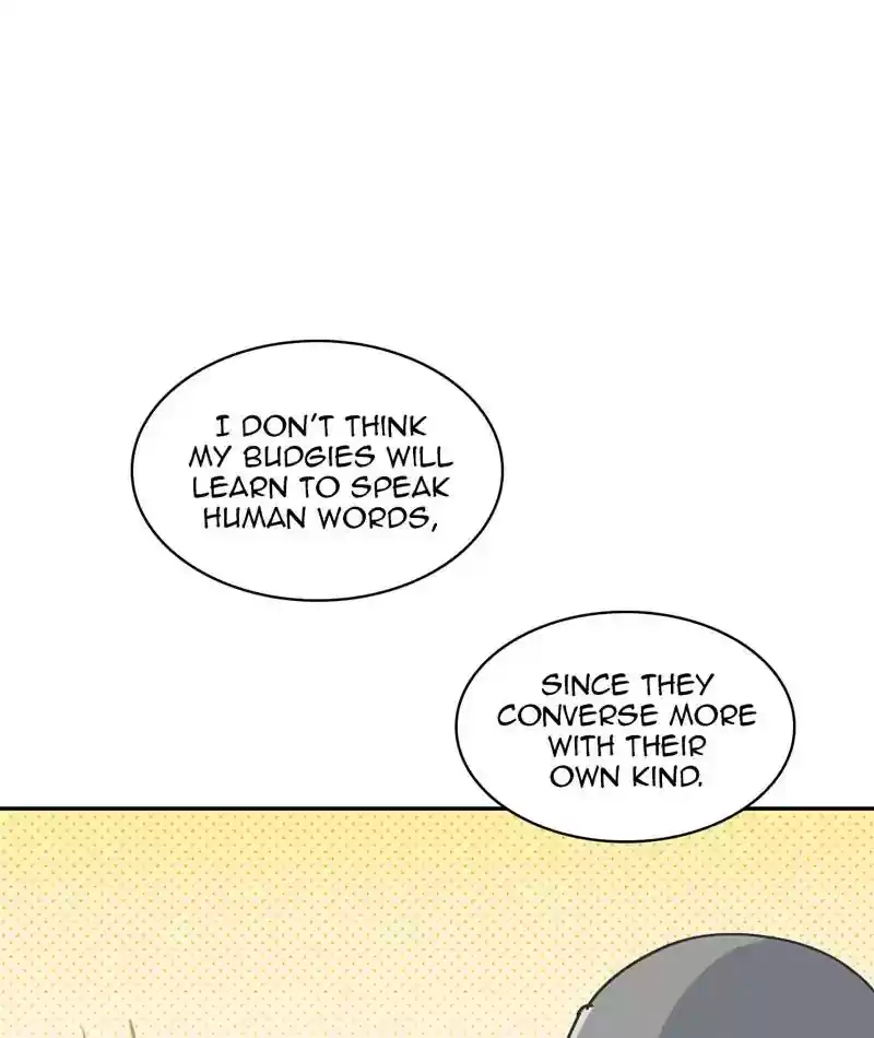 A Budgie's Life Chapter 302: Ep.301: