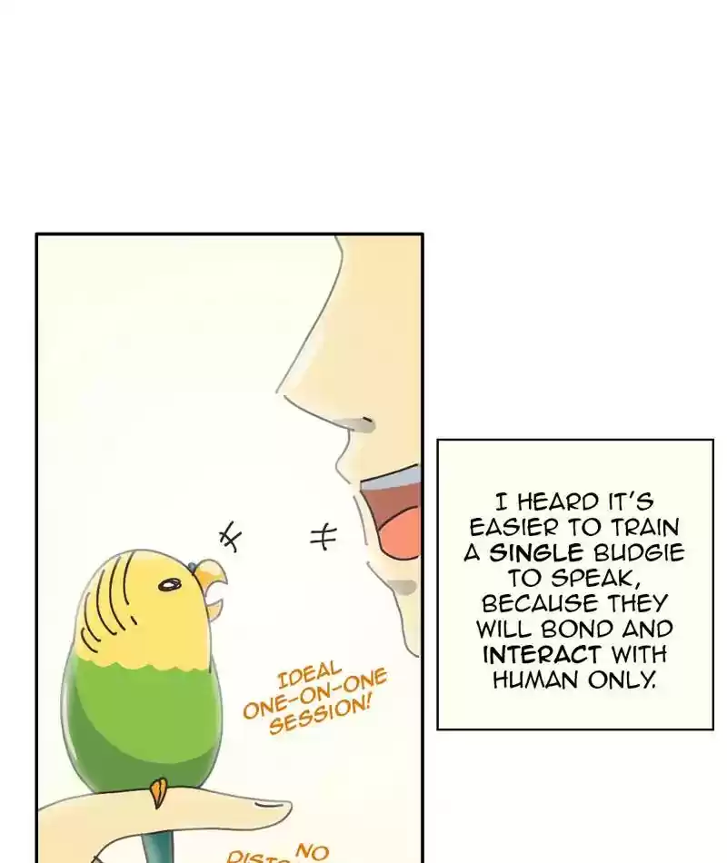 A Budgie's Life Chapter 302: Ep.301:
