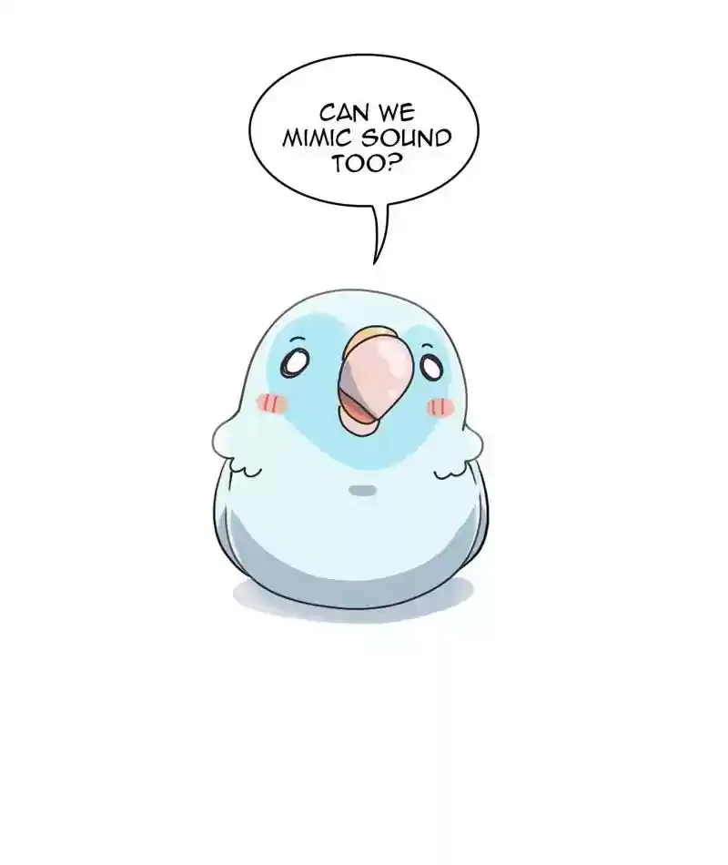 A Budgie's Life Chapter 302: Ep.301:
