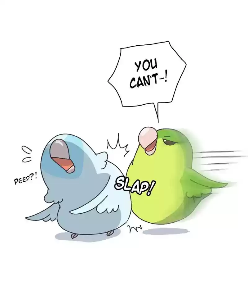 A Budgie's Life Chapter 302: Ep.301:
