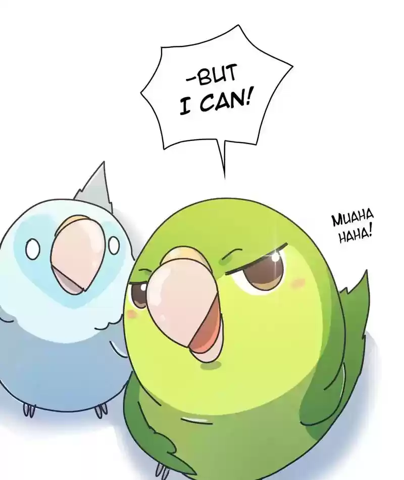 A Budgie's Life Chapter 302: Ep.301: