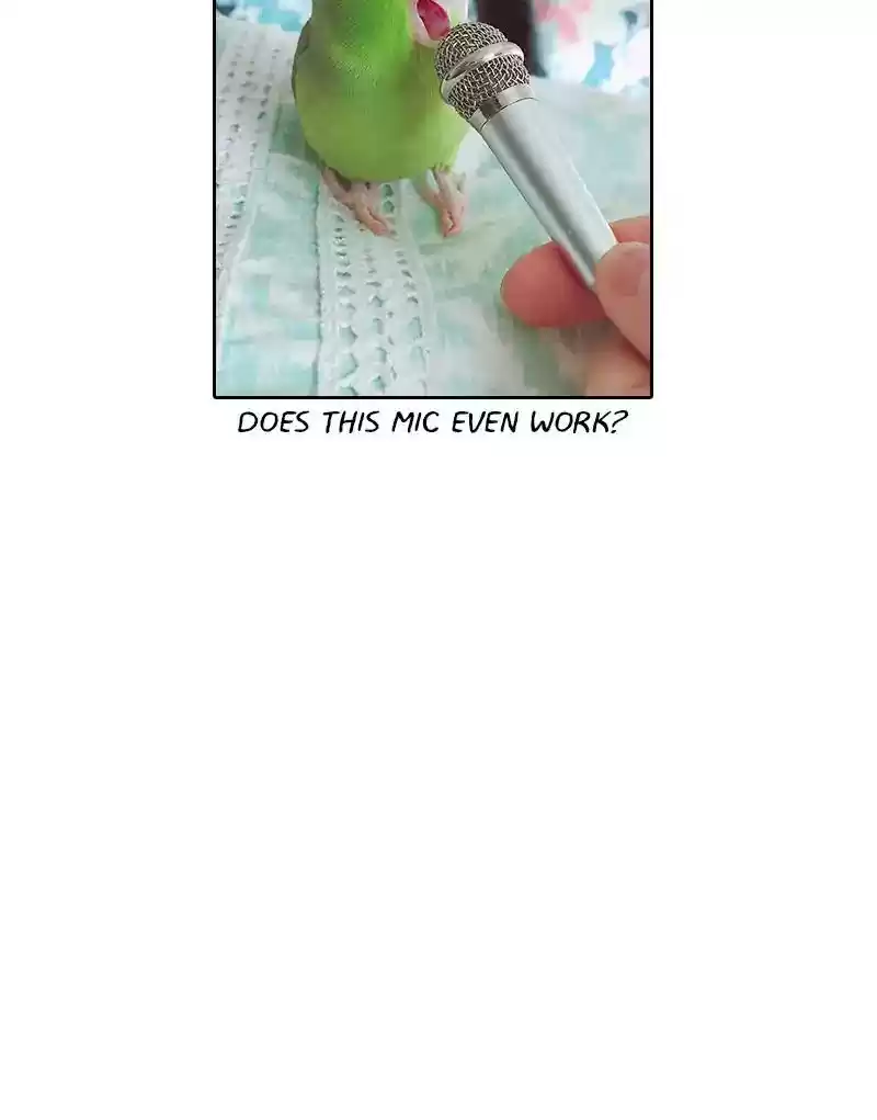 A Budgie's Life Chapter 302: Ep.301: