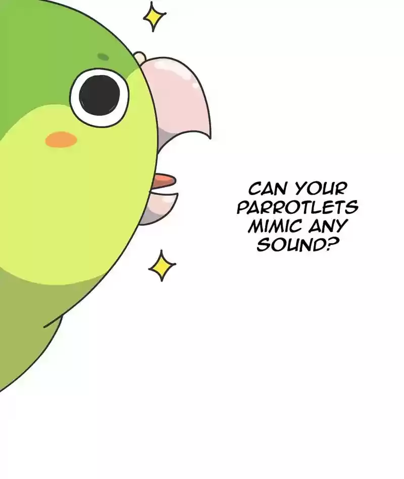 A Budgie's Life Chapter 303: Ep.302: