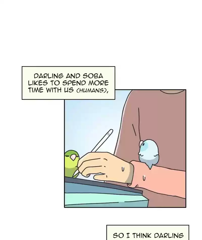 A Budgie's Life Chapter 303: Ep.302: