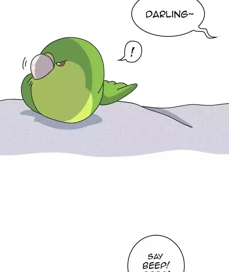 A Budgie's Life Chapter 303: Ep.302: