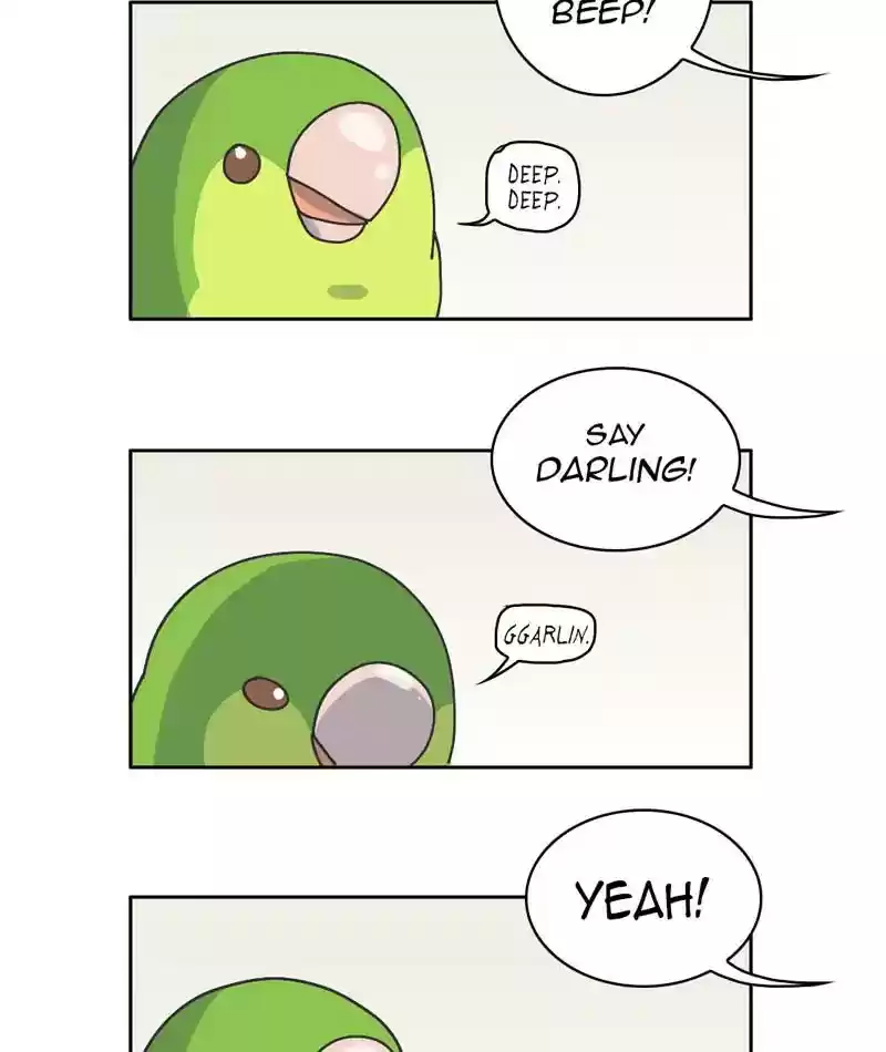 A Budgie's Life Chapter 303: Ep.302: