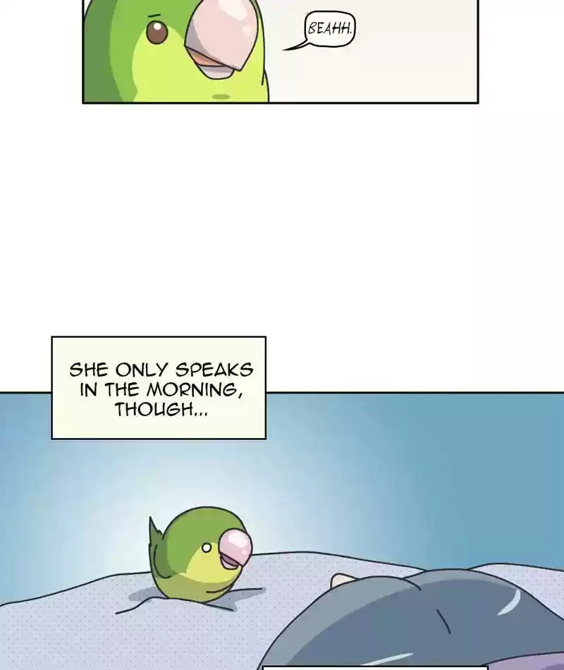 A Budgie's Life Chapter 303: Ep.302:
