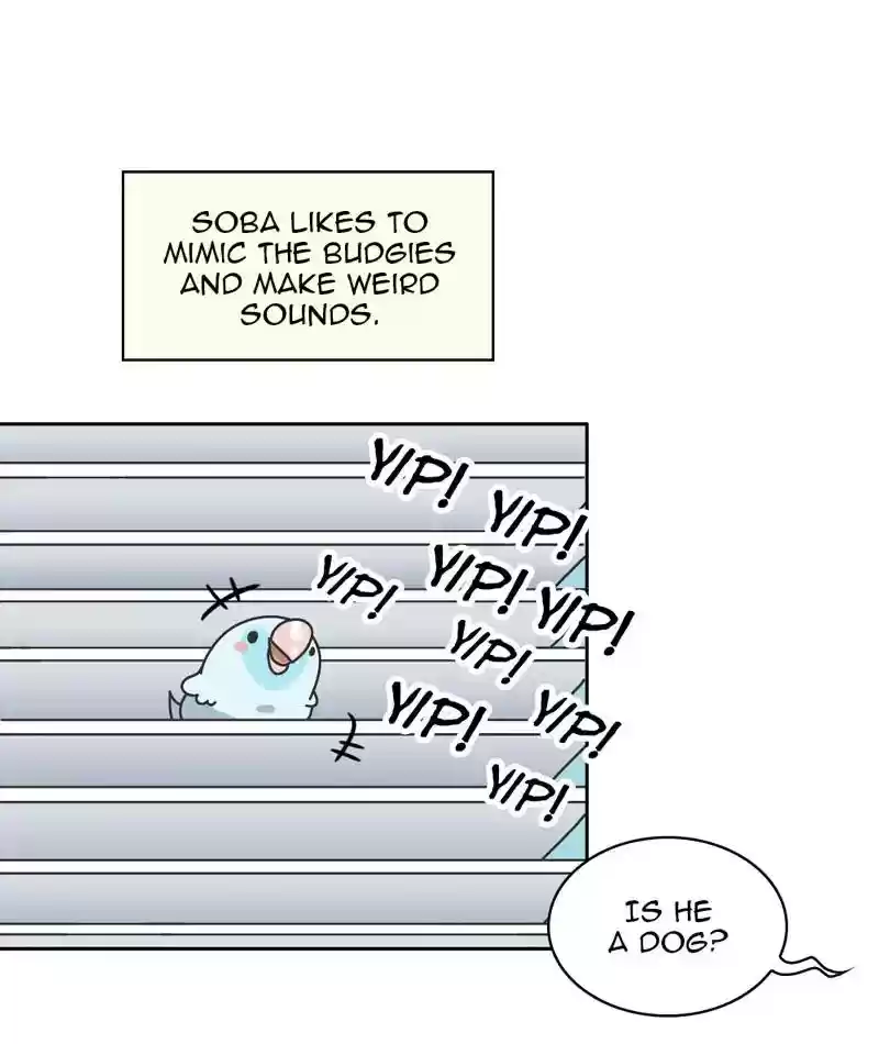A Budgie's Life Chapter 303: Ep.302: