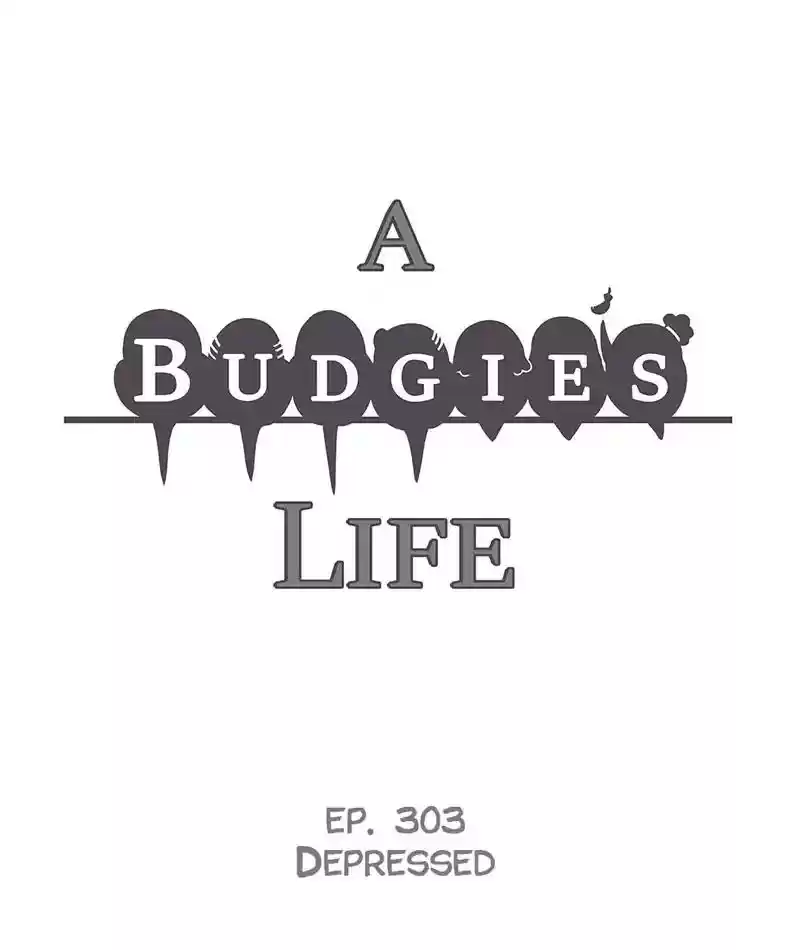 A Budgie's Life Chapter 304: Ep.303: