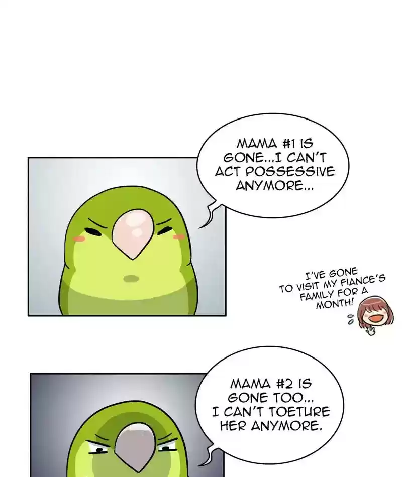 A Budgie's Life Chapter 304: Ep.303: