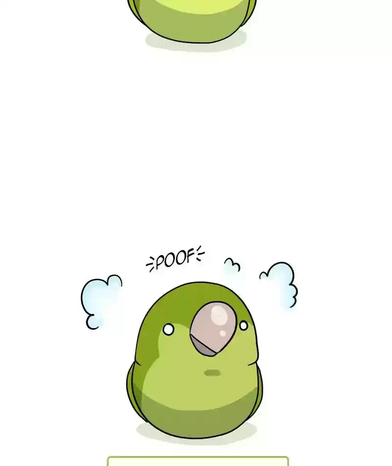 A Budgie's Life Chapter 304: Ep.303: