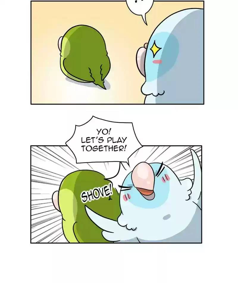 A Budgie's Life Chapter 304: Ep.303: