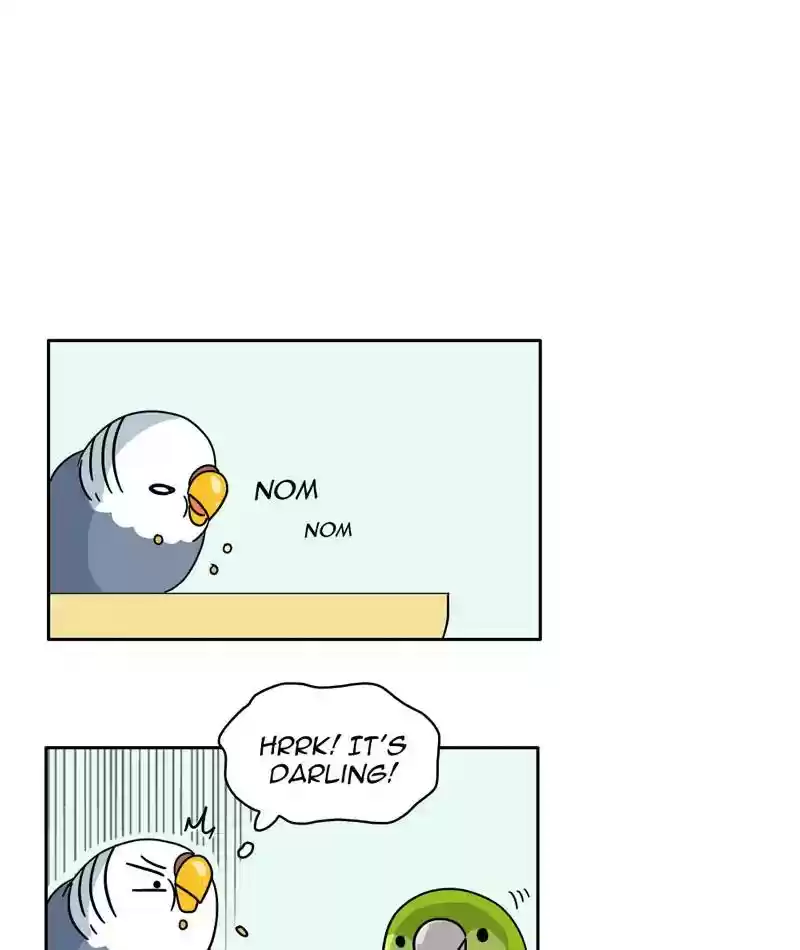 A Budgie's Life Chapter 304: Ep.303: