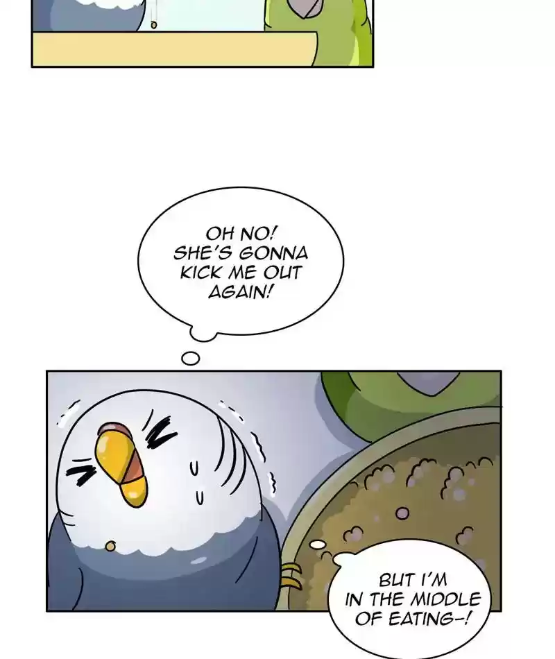 A Budgie's Life Chapter 304: Ep.303: