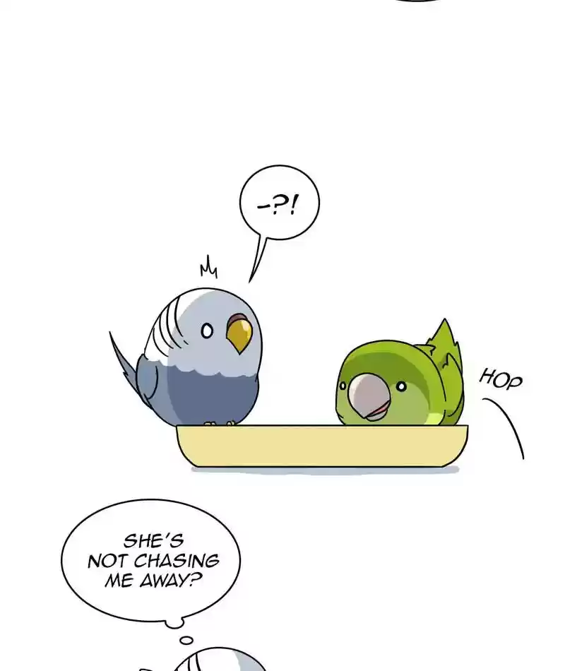 A Budgie's Life Chapter 304: Ep.303: