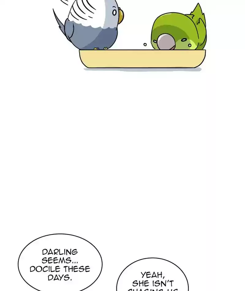 A Budgie's Life Chapter 304: Ep.303: