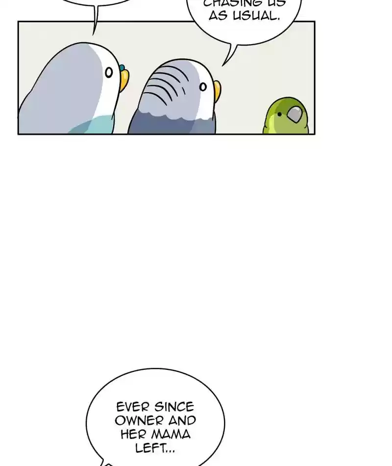 A Budgie's Life Chapter 304: Ep.303: