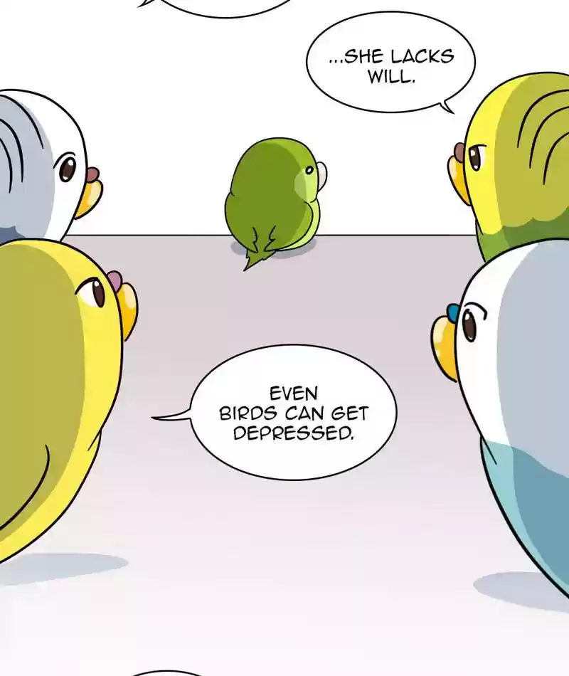 A Budgie's Life Chapter 304: Ep.303: