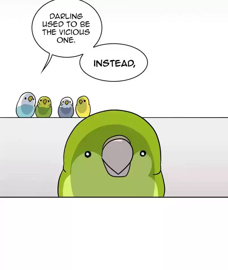 A Budgie's Life Chapter 304: Ep.303: