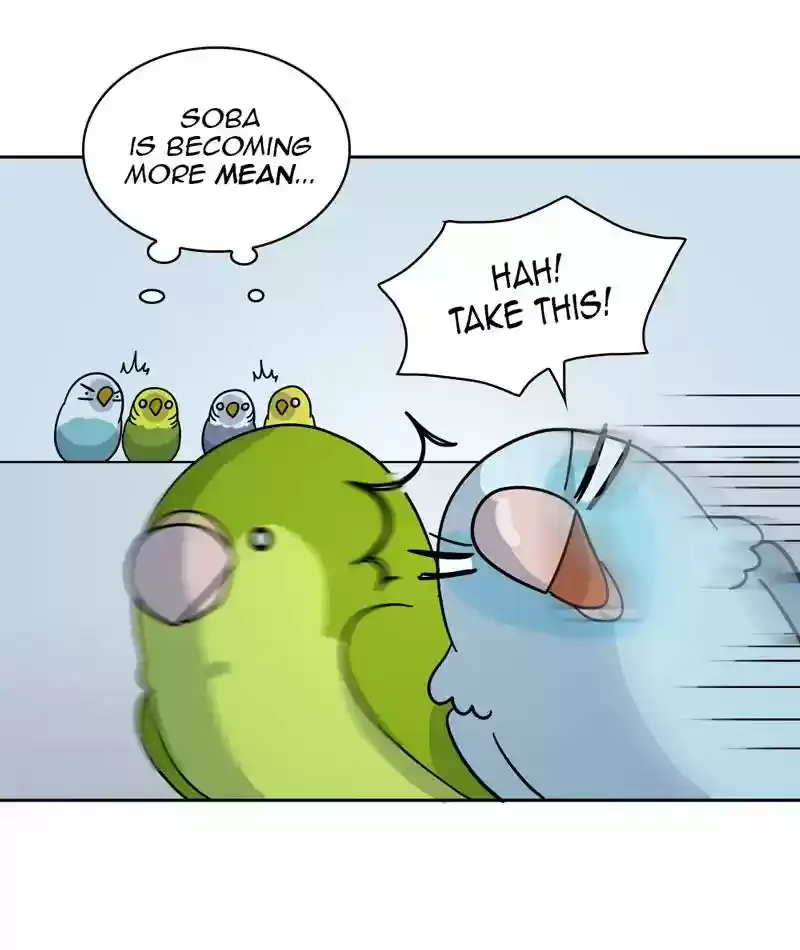 A Budgie's Life Chapter 304: Ep.303: