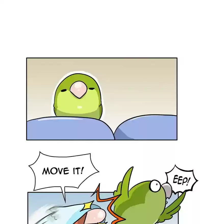 A Budgie's Life Chapter 304: Ep.303: