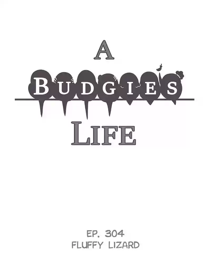 A Budgie's Life Chapter 305: Ep.304: