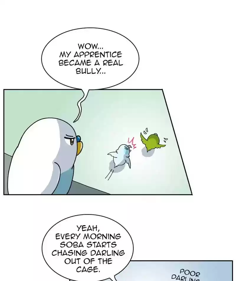 A Budgie's Life Chapter 305: Ep.304: