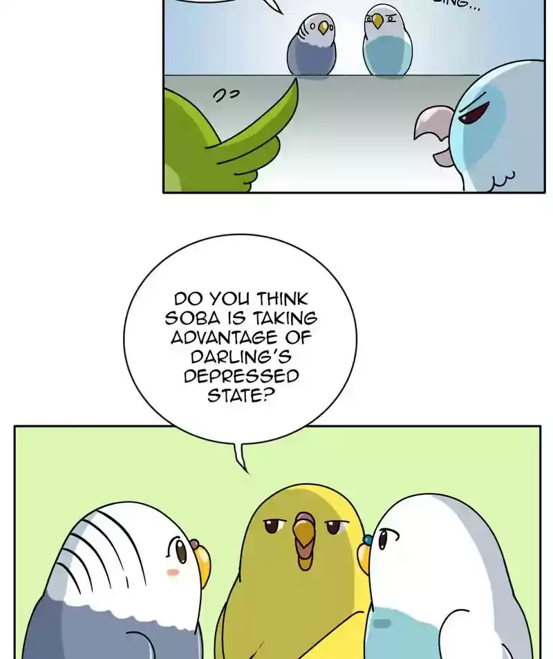 A Budgie's Life Chapter 305: Ep.304: