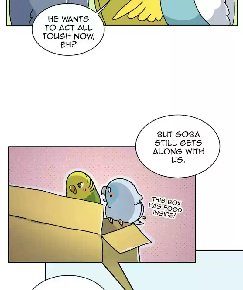 A Budgie's Life Chapter 305: Ep.304:
