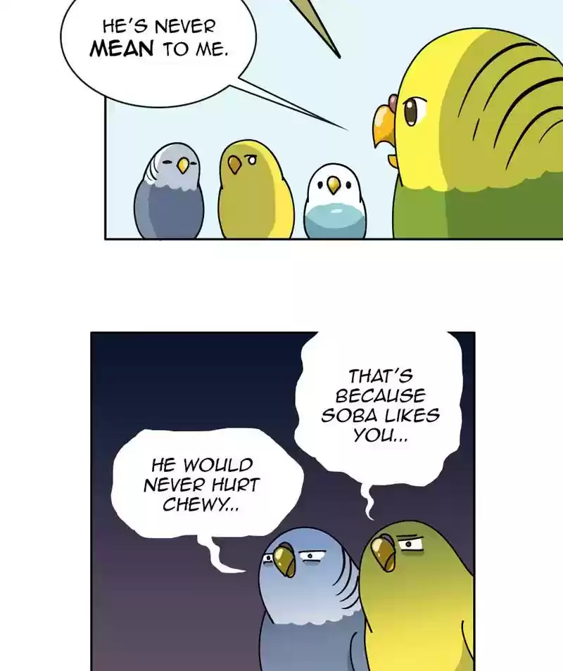 A Budgie's Life Chapter 305: Ep.304: