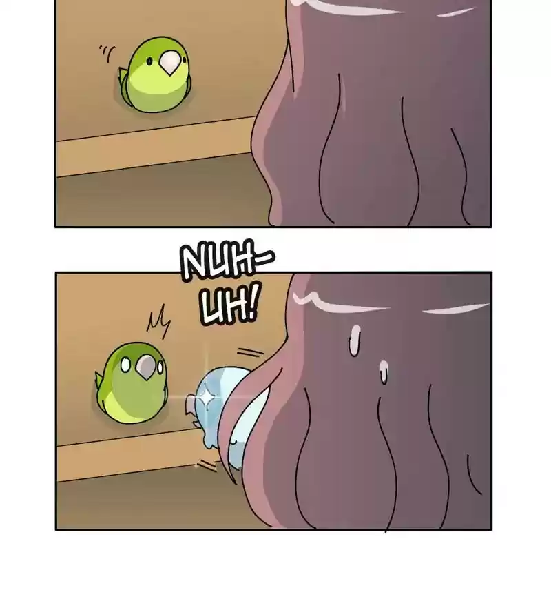 A Budgie's Life Chapter 305: Ep.304: