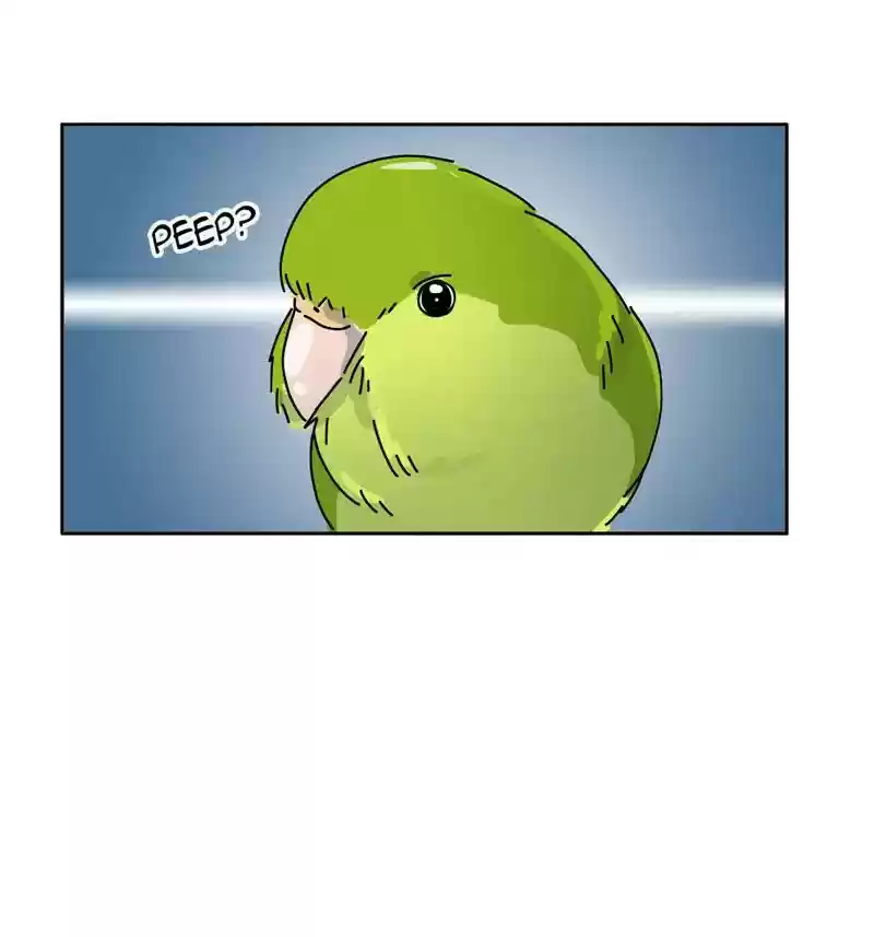 A Budgie's Life Chapter 305: Ep.304: