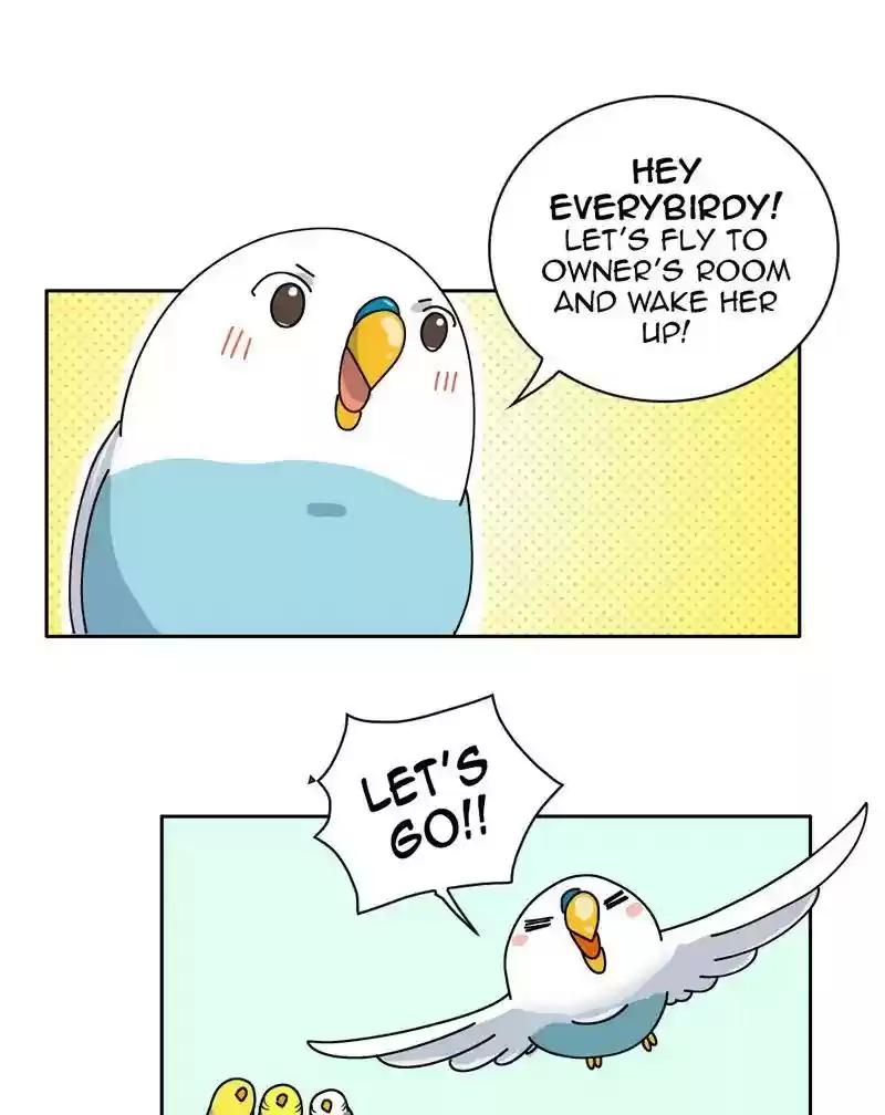 A Budgie's Life Chapter 306: Ep.305: