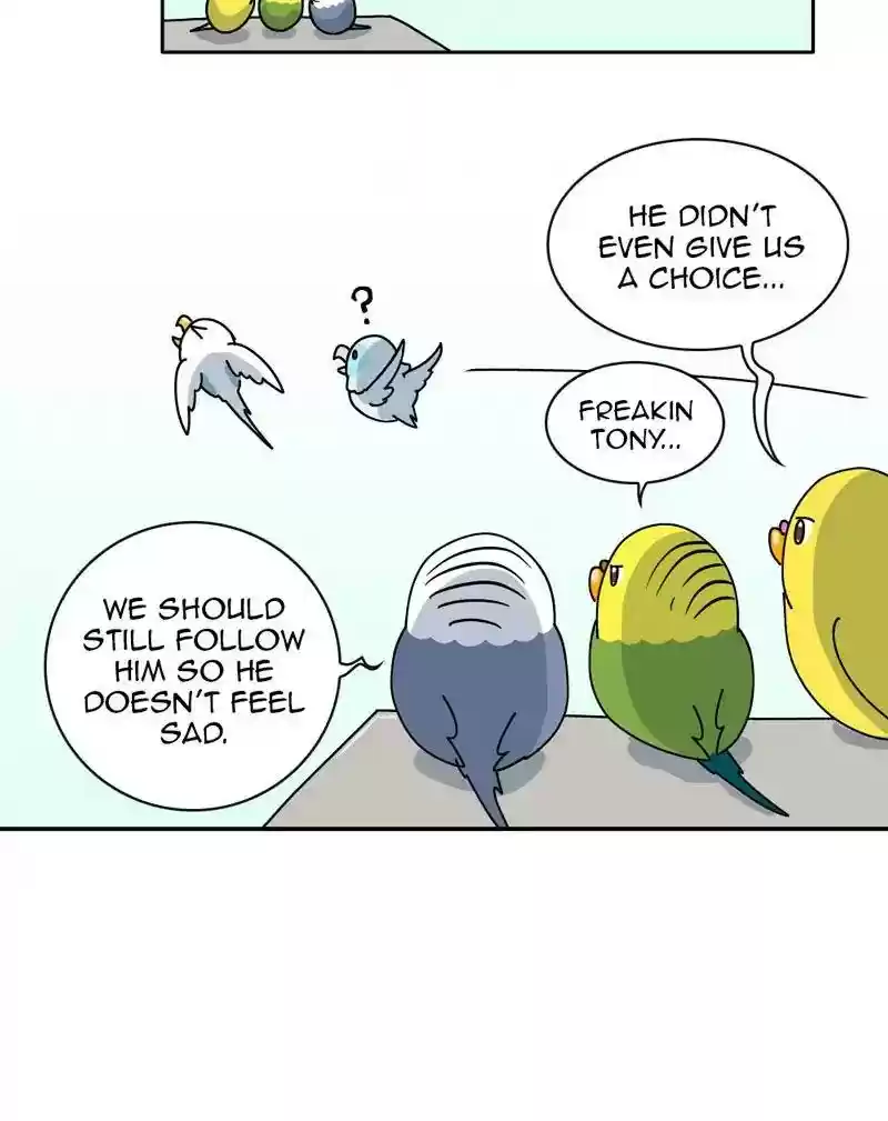 A Budgie's Life Chapter 306: Ep.305: