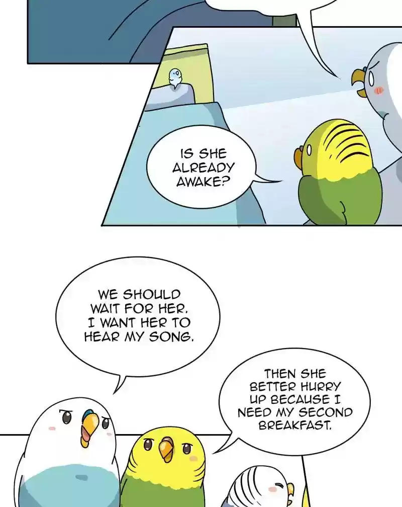 A Budgie's Life Chapter 306: Ep.305: