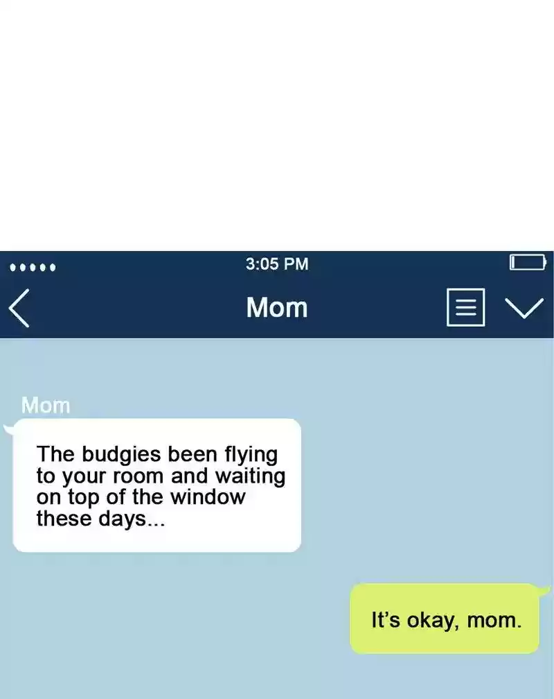 A Budgie's Life Chapter 306: Ep.305: