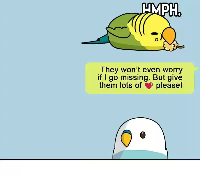 A Budgie's Life Chapter 306: Ep.305:
