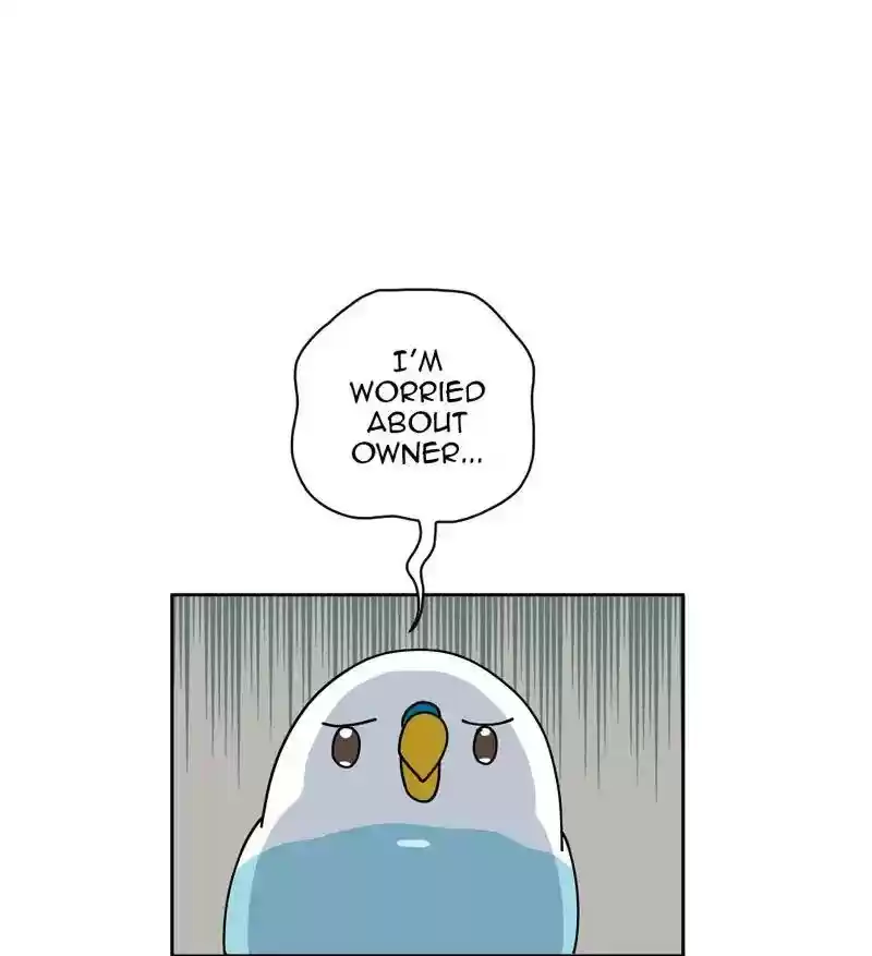 A Budgie's Life Chapter 306: Ep.305: